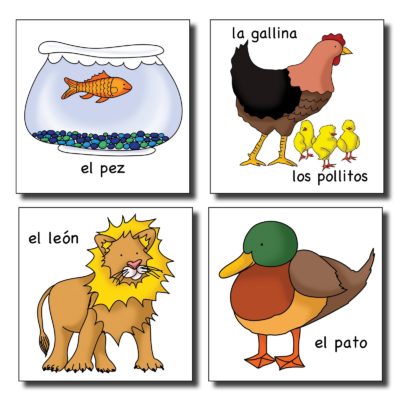 Teach Spanish online