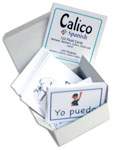 original spanish flash cards for elementary students